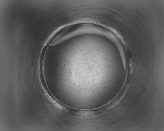 X0000084561134200702231225