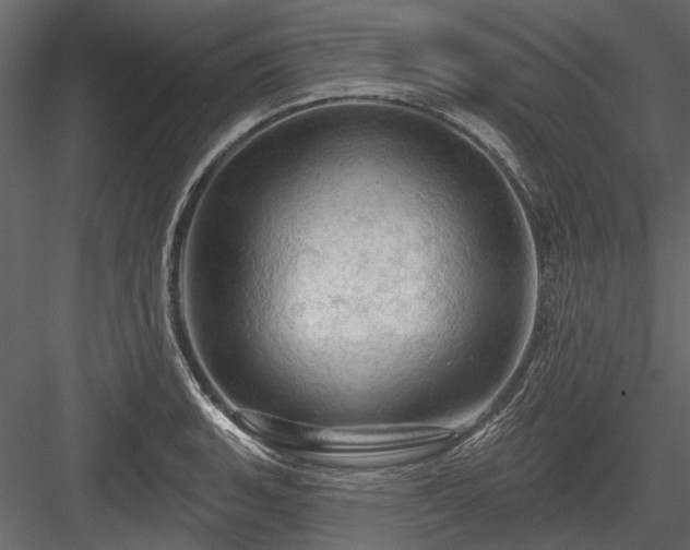 X0000084561135200702231225