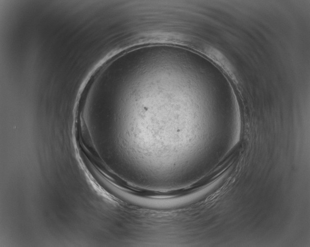 X0000084561136200702231225