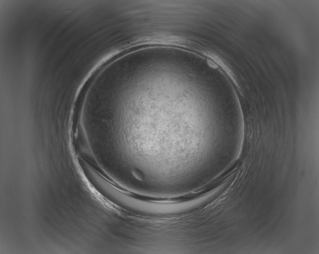 X0000084561139200702231225