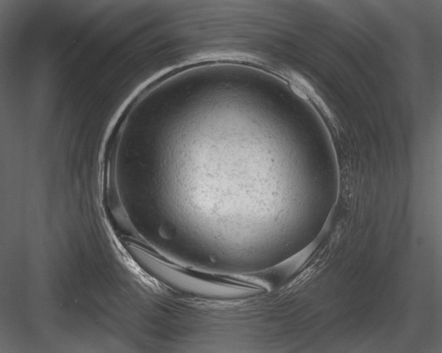 X0000084561140200702231225