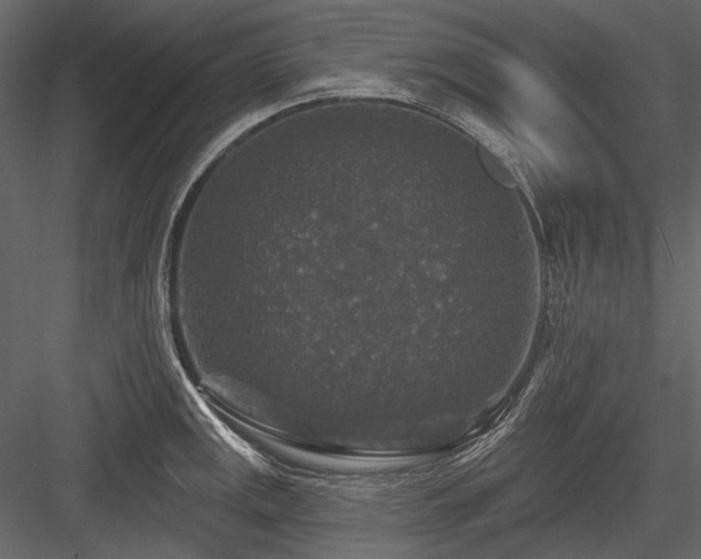 X0000084561141200702231225