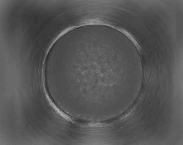 X0000084561142200702231225