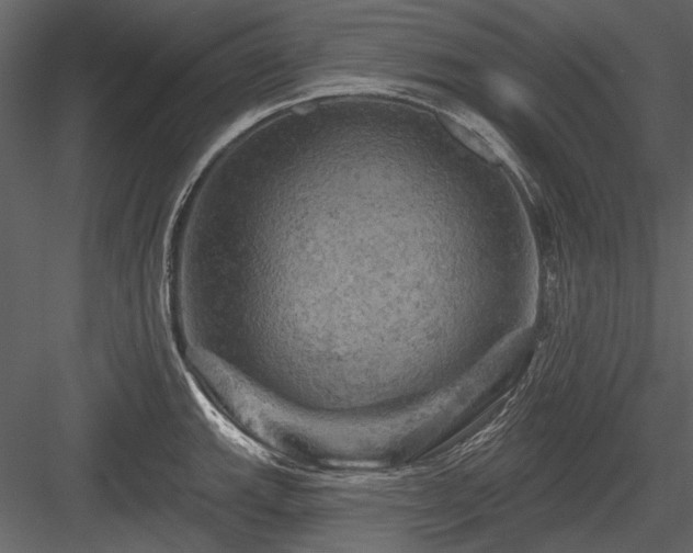 X0000084561143200702231225