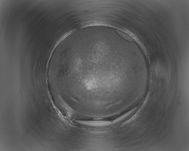 X0000084561145200702231225