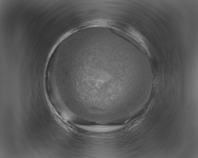 X0000084561146200702231225