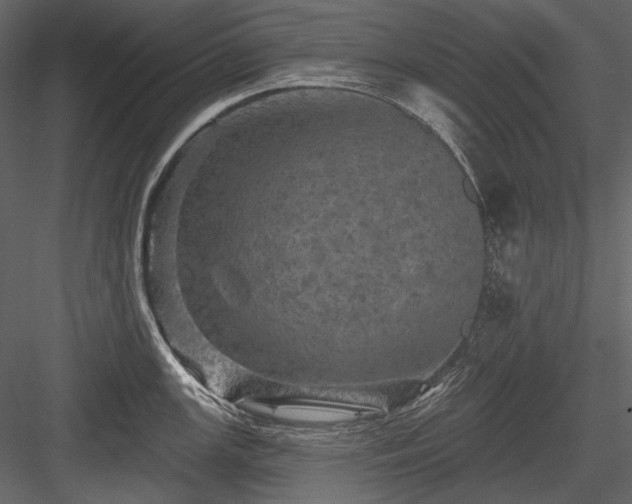 X0000084561147200702231225