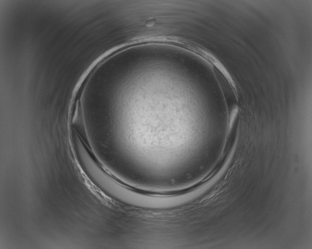 X0000084561148200702231225