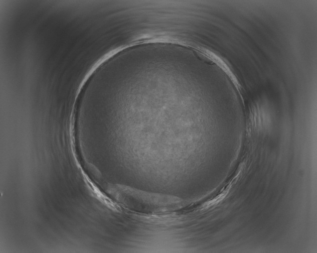 X0000084561149200702231225