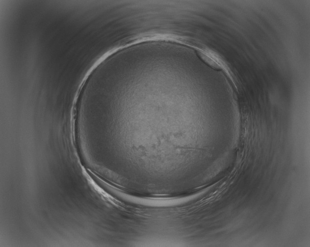 X0000084561151200702231225