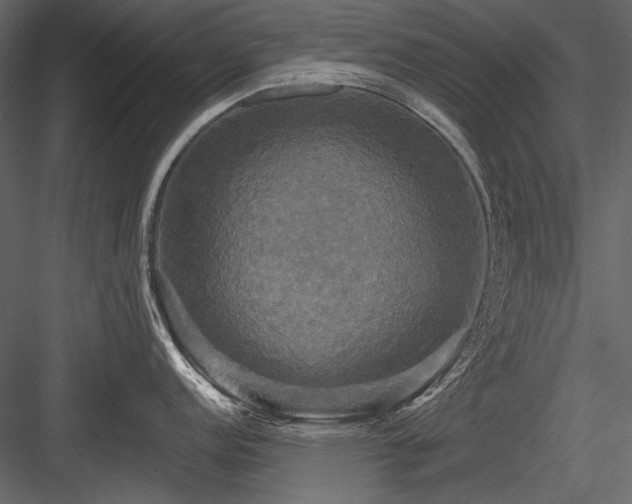 X0000084561152200702231225