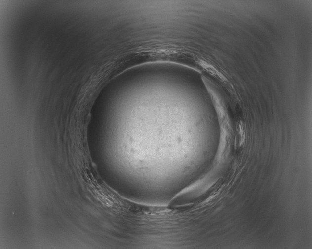 X0000084561153200702231224