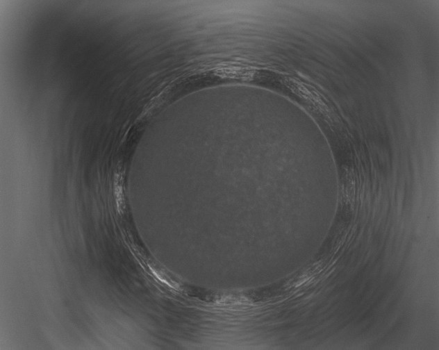 X0000084561154200702231224