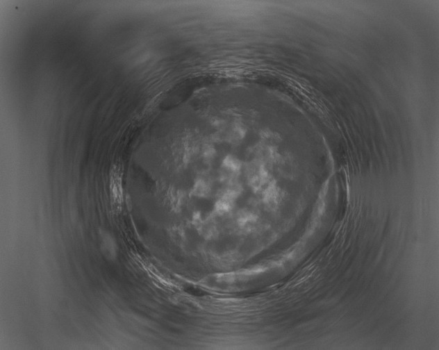 X0000084561155200702231224