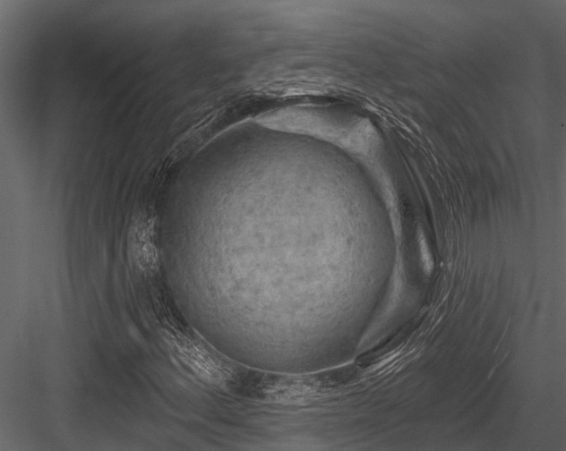 X0000084561156200702231224