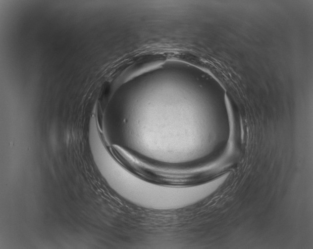 X0000084561157200702231224