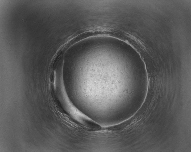 X0000084561160200702231224