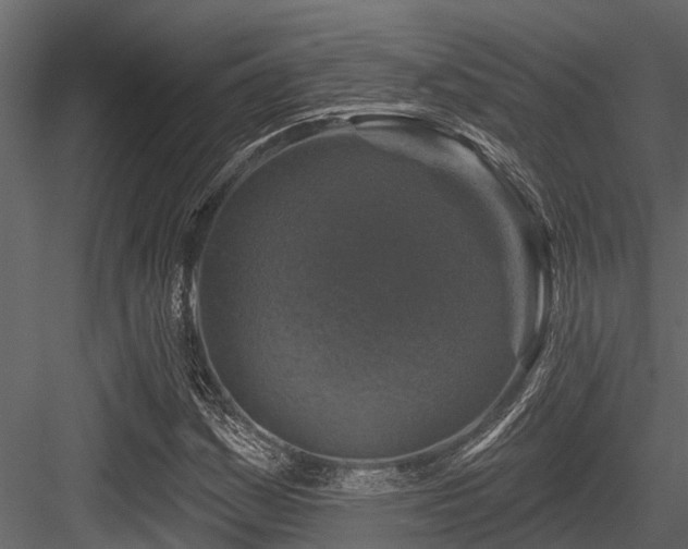 X0000084561161200702231224