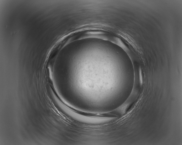 X0000084561164200702231224