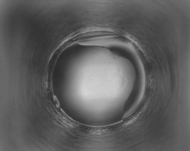 X0000084561165200702231224