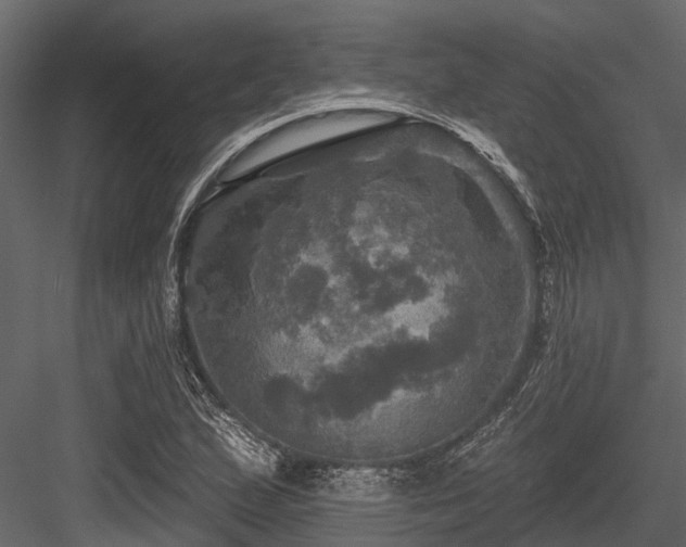 X0000084561167200702231224