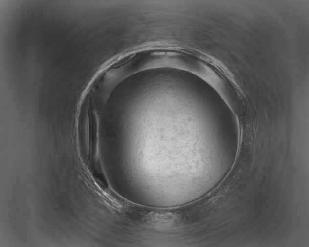 X0000084561168200702231224