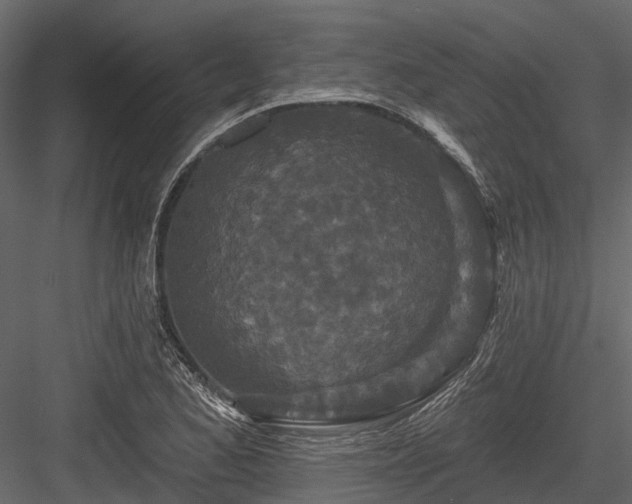 X0000084561173200702231224