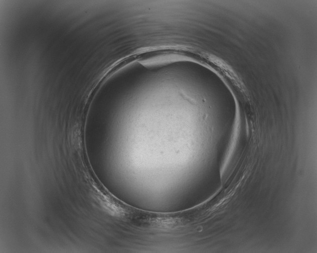 X0000084561177200702231224
