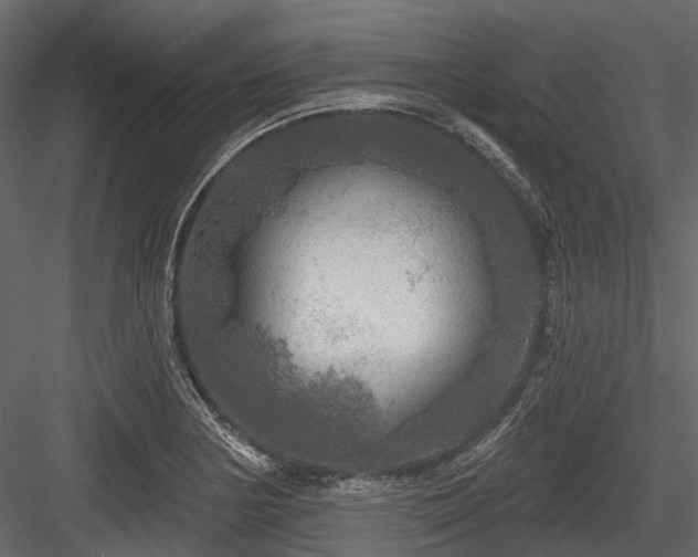 X0000084561178200702231224