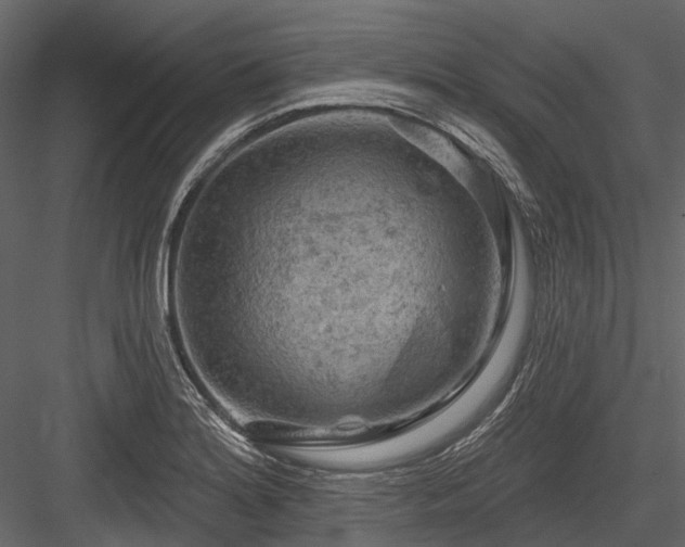 X0000084561180200702231224