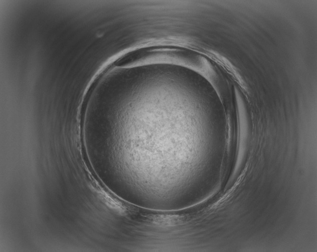 X0000084561184200702231224