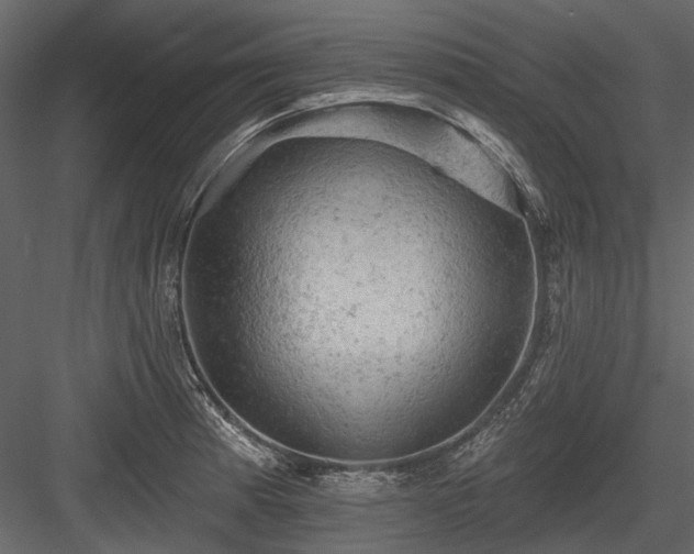 X0000084561185200702231224