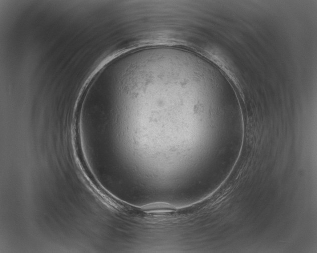 X0000084561187200702231224