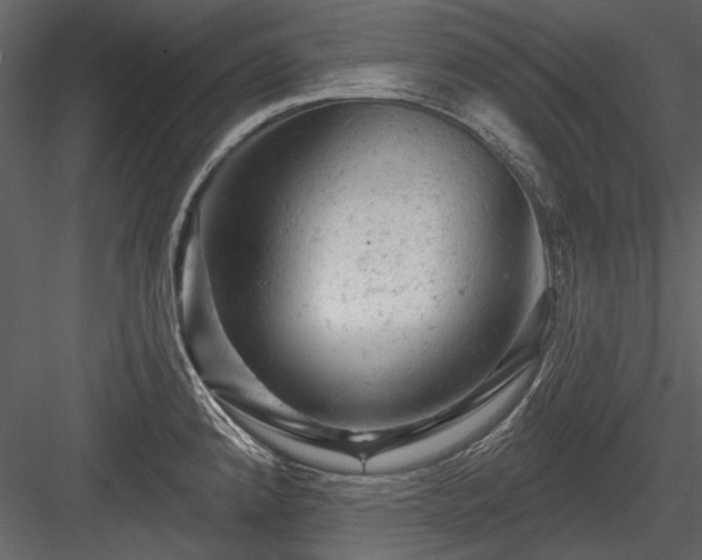 X0000084561192200702231224