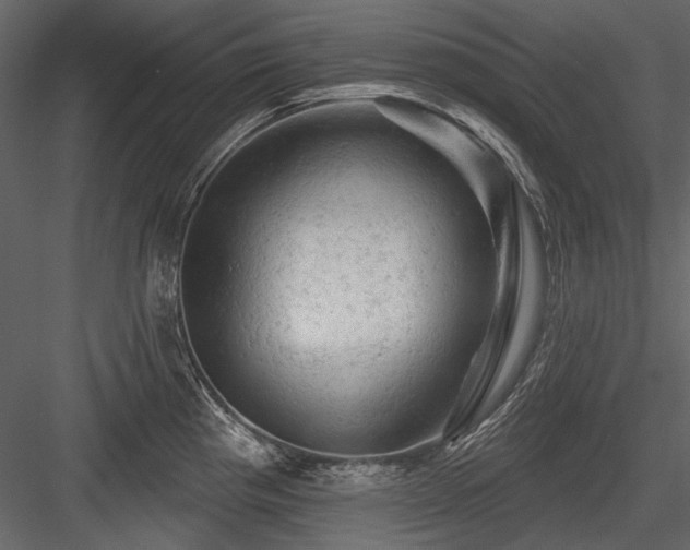X0000084561193200702231224