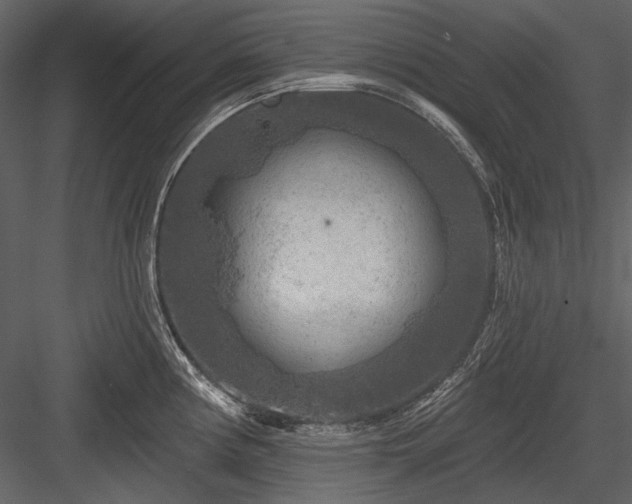 X0000084561194200702231224