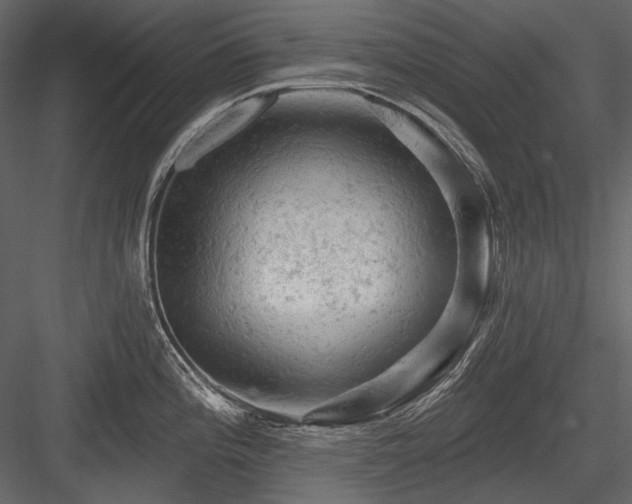 X0000084561196200702231224