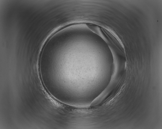 X0000084561197200702231224