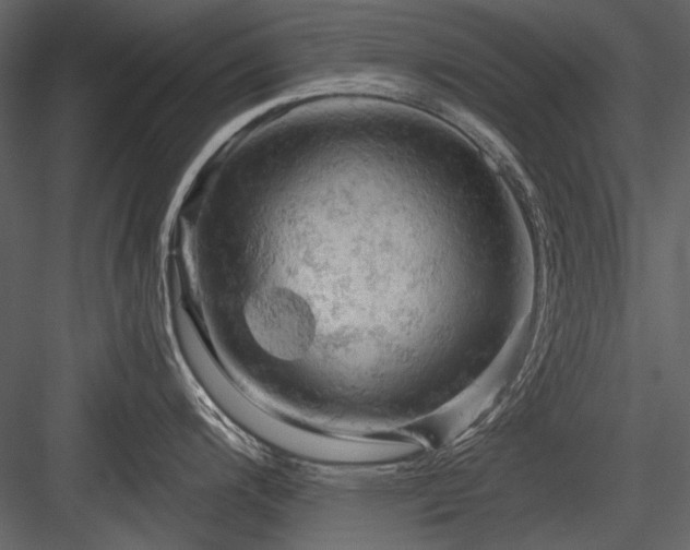 X0000084561200200702231223
