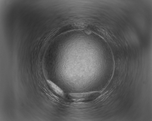 X0000084561201200702231223