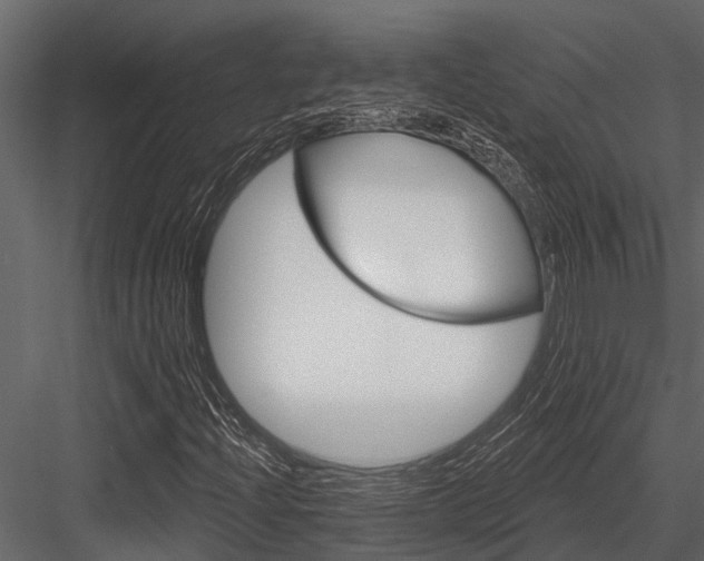 X0000084561204200702231223
