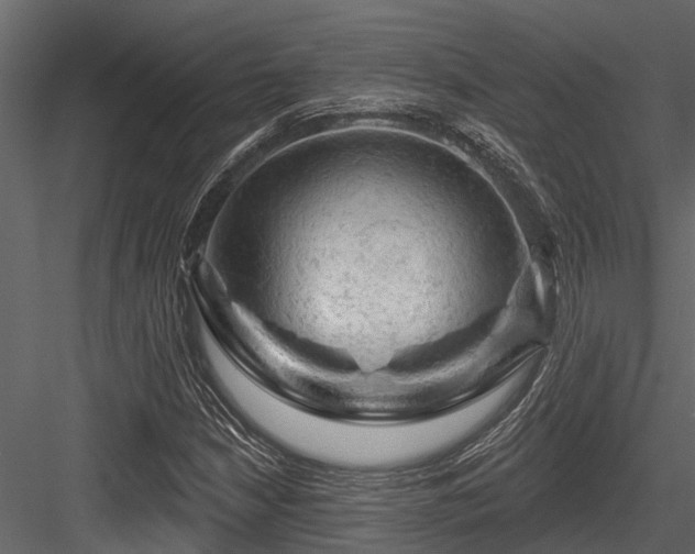 X0000084561210200702231223