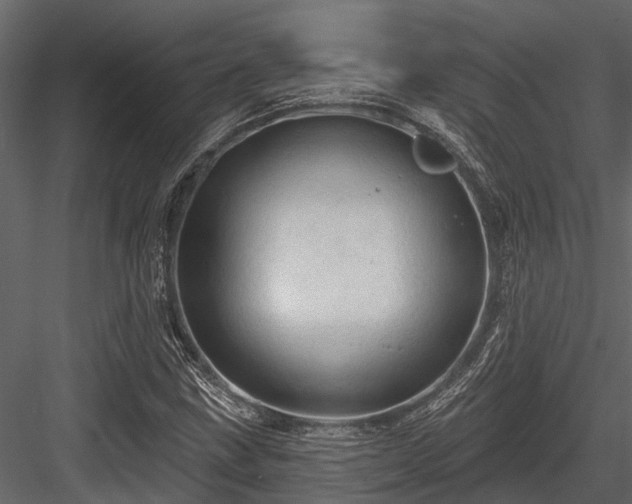 X0000084561211200702231223