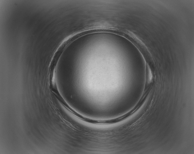 X0000084561222200702231223