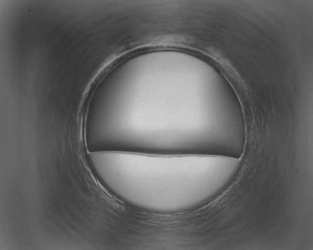 X0000084561224200702231223
