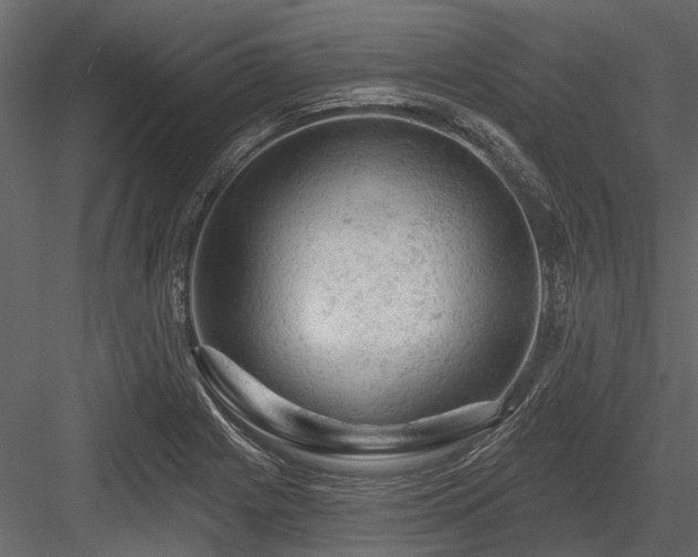 X0000084561225200702231223