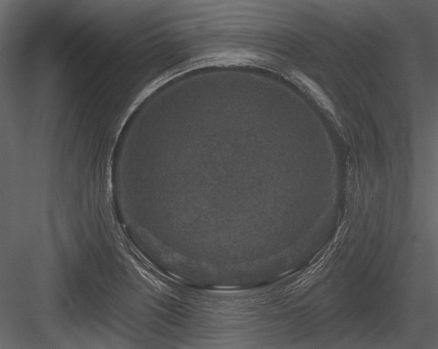 X0000084561226200702231223