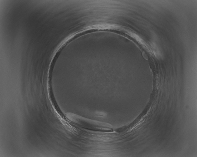 X0000084561229200702231223