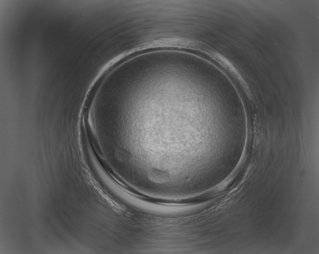 X0000084561230200702231223