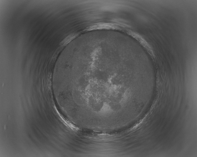 X0000084561233200702231223